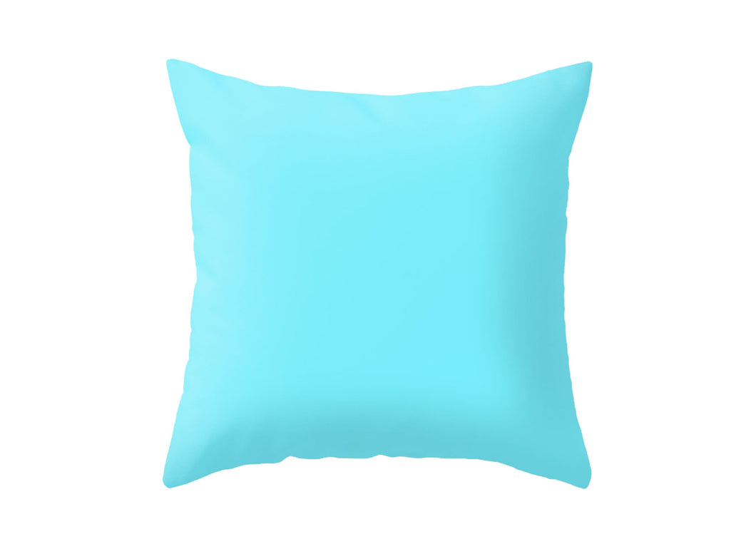 Cushion for Throw Pillow 20