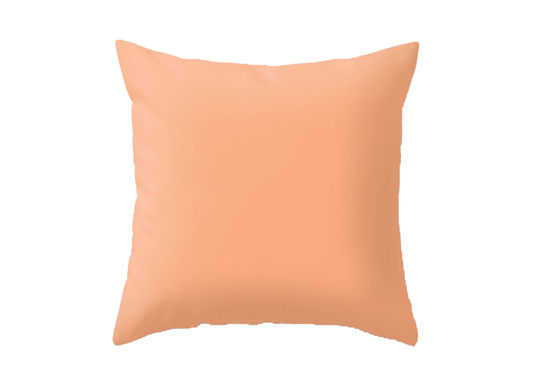 Cushion for Throw Pillow 16