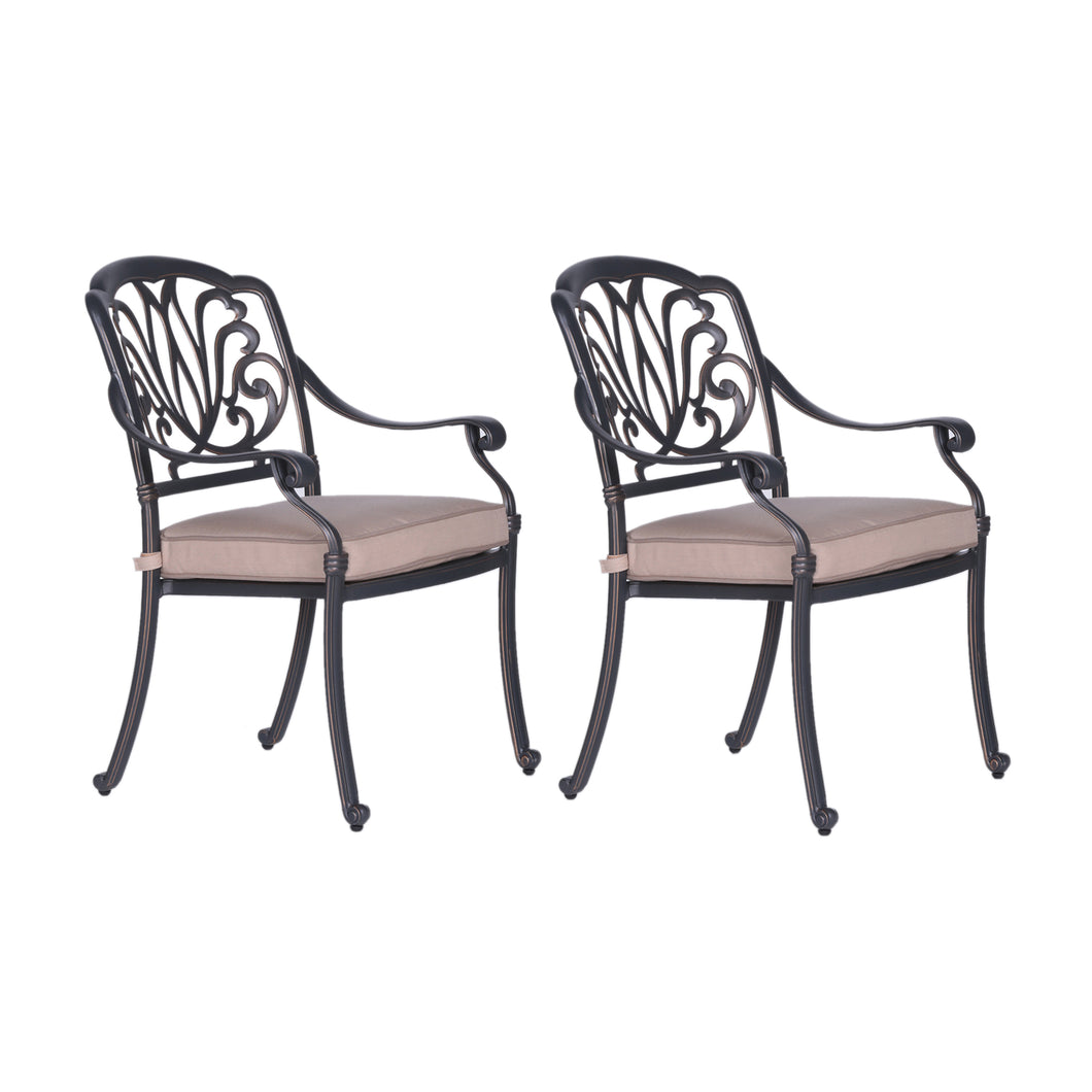 Dining Armchair With Cushion, Aluminum Frame, Set of 2, Dessert Night/Spectrum Sand